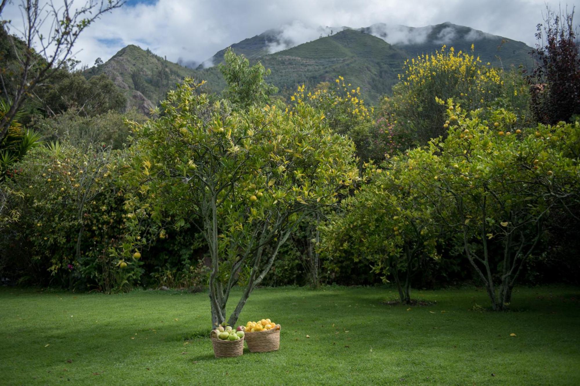 Andenia Boutique Hotel, Sacred Valley Urubamba Εξωτερικό φωτογραφία