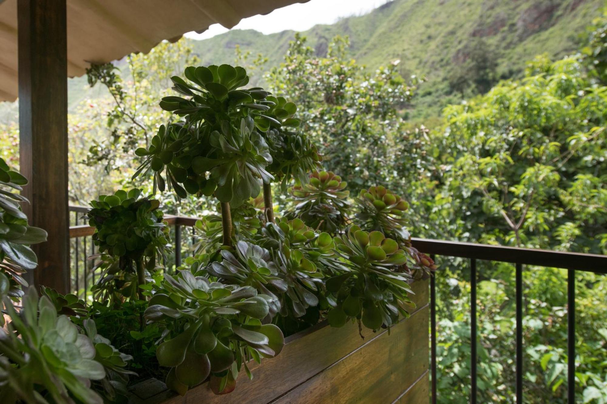 Andenia Boutique Hotel, Sacred Valley Urubamba Εξωτερικό φωτογραφία